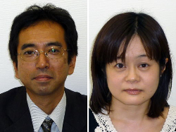 大阪府箕面市の岡野行政書士事務所 行政書士検索サイト